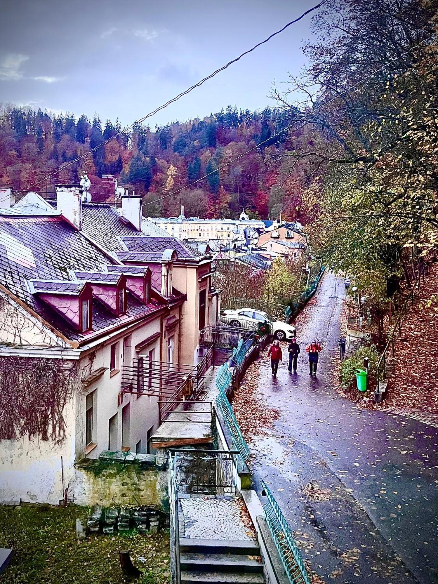 Bohemian City - Amazing View, Garage Karlsbad Exterior foto